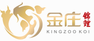 金庄锦鲤