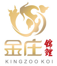 欢迎联系金庄锦鲤 欢迎联系金庄锦鲤