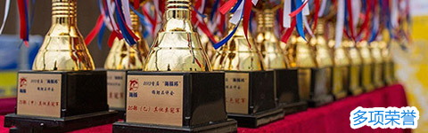 多项荣誉 多项荣誉