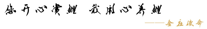 金庄使命 金庄使命