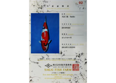 大正三色生产证明-株式会社阪井养鱼场