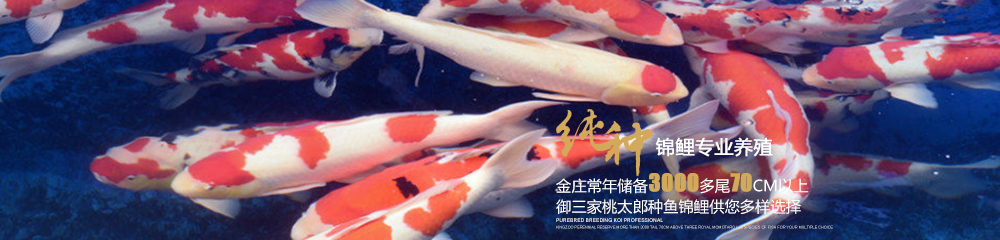 资讯默认广告