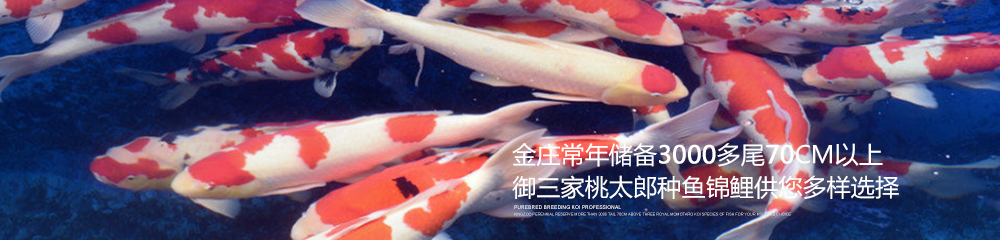 帮助默认广告